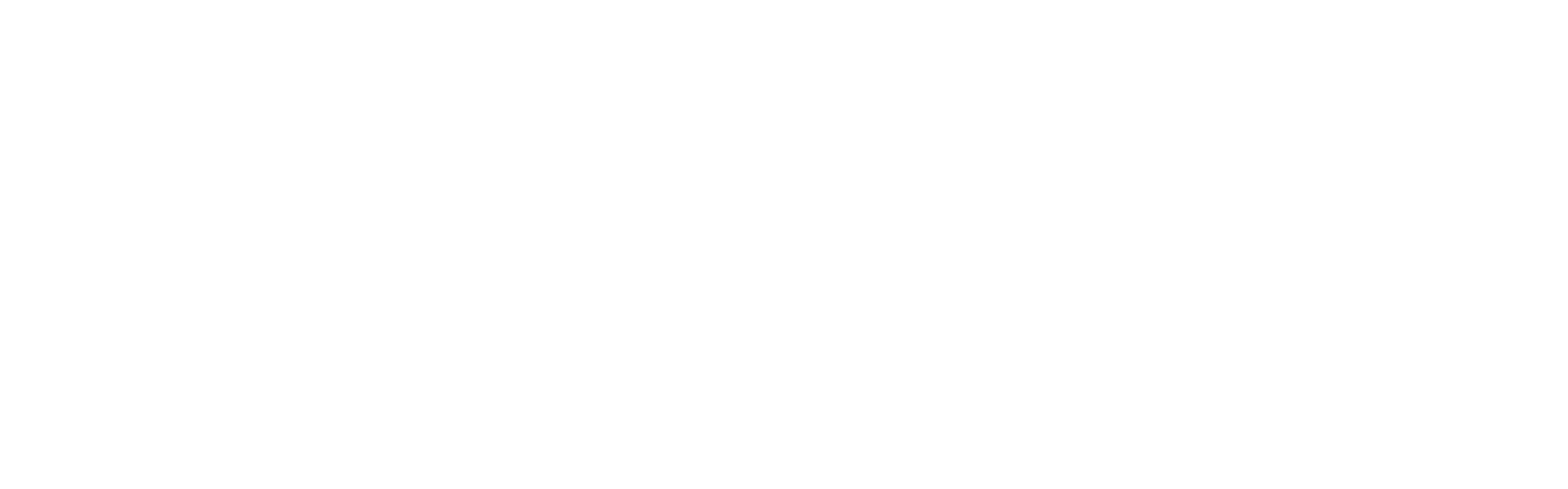 ArcherPoint White Logo