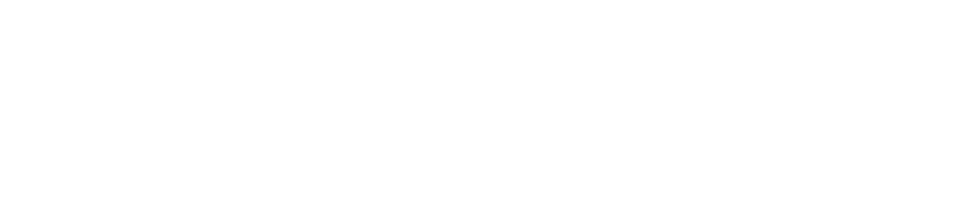 CeriFi logo 