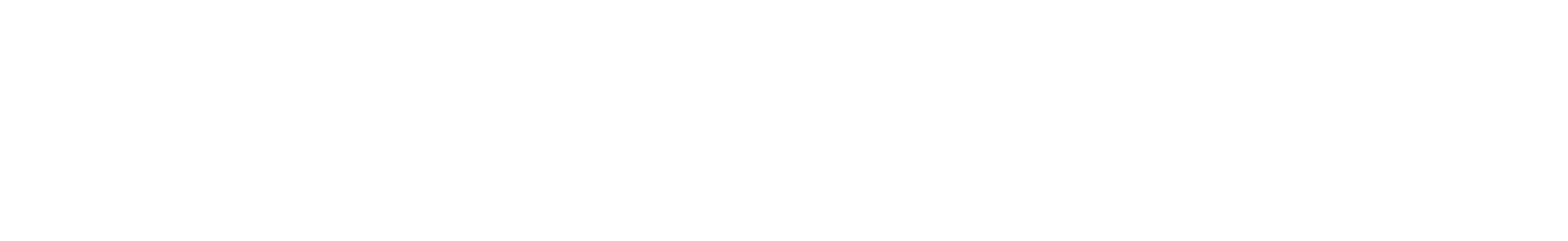 DynamicWeb White Logo