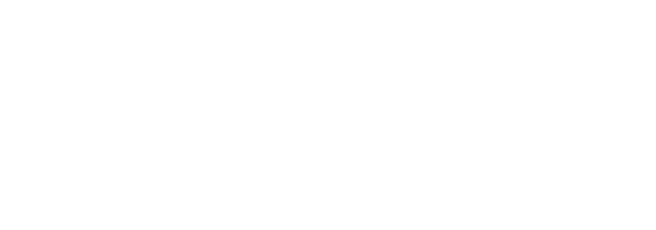Allyant White Logo