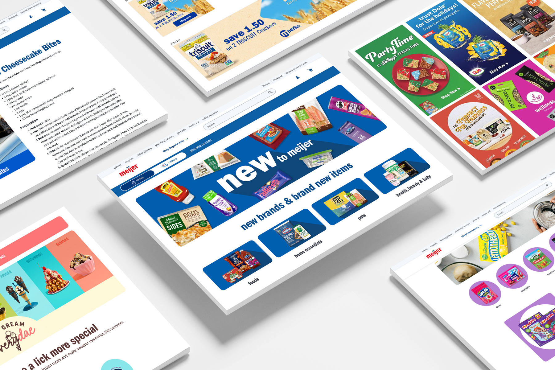 Meijer DVM Mockup 