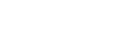 Perfion logo