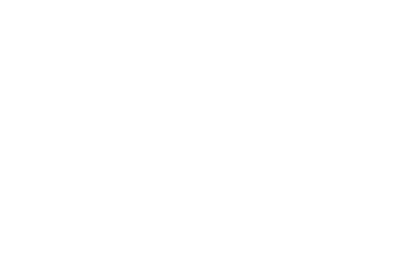 Western Computer